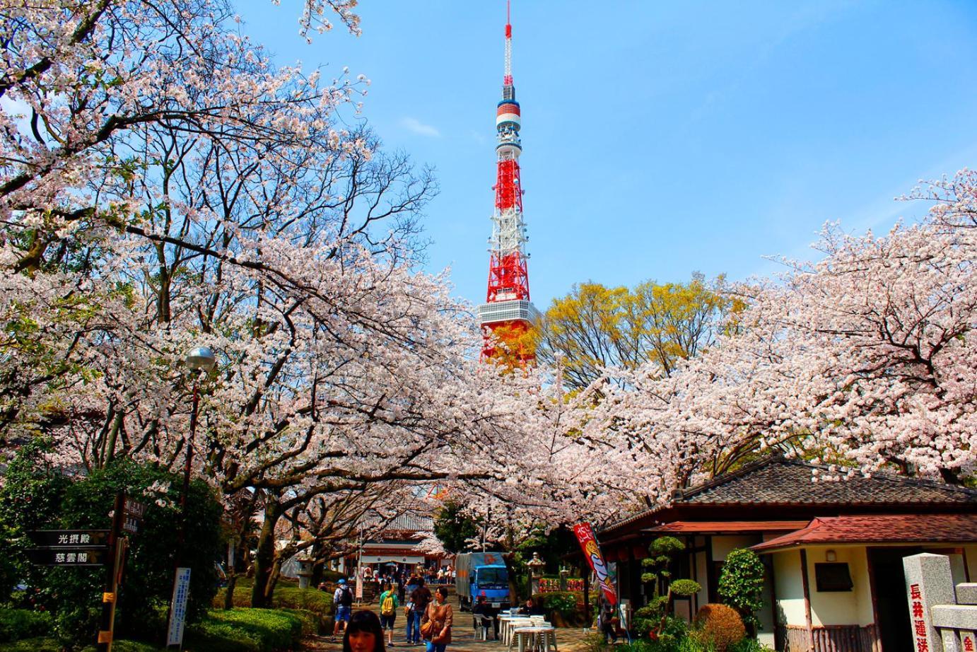 Rose Stay Tokyo Shiba Park Exteriér fotografie